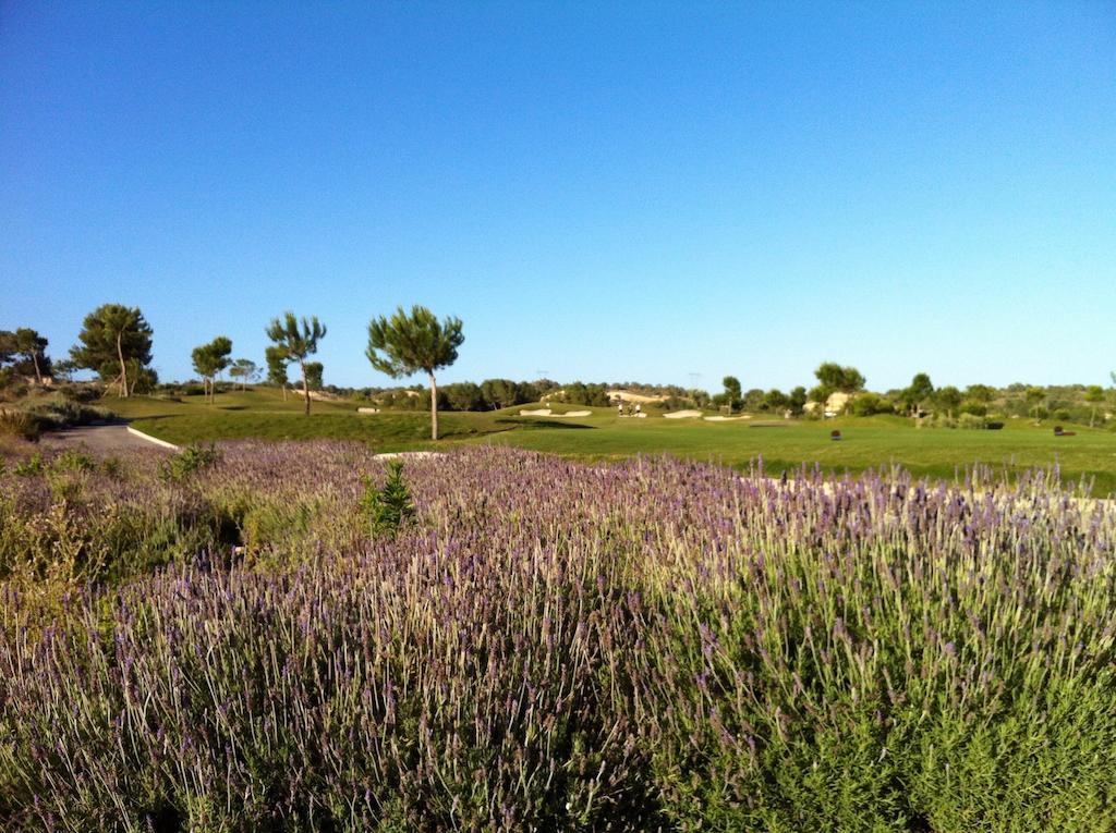 Villa In Spain At Las Colinas Golf & Country Club Dehesa de Campoamor  Esterno foto
